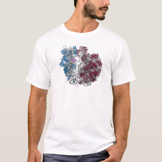 より小さいリボゾーム- Tシャツ