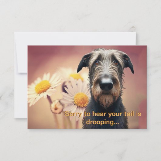 より感じも早くアイリッシュのウルフハウンド (正面)