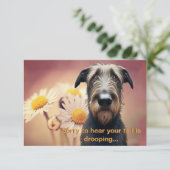 より感じも早くアイリッシュのウルフハウンド (スタンド正面)