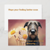 より感じも早くアイリッシュのウルフハウンド (正面/裏面)