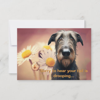 より感じも早くアイリッシュのウルフハウンド