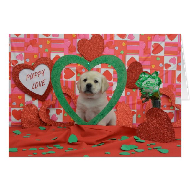 より手週6の写真 (正面横)