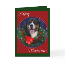 より素晴らしいスイス山犬のクリスマスのギフト