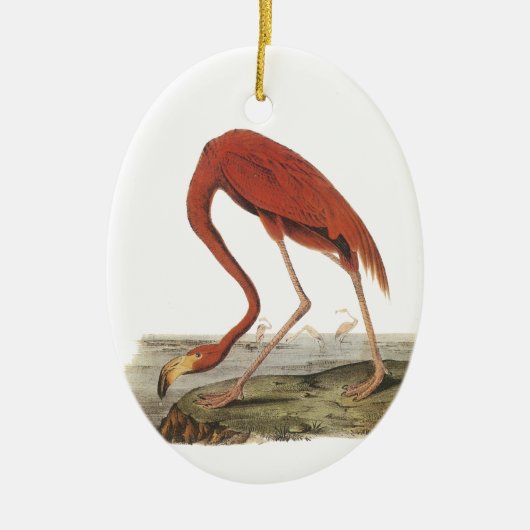 より素晴らしいフラミンゴ、ジョンAudubon セラミックオーナメント (正面)
