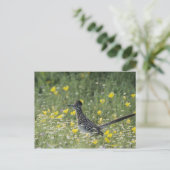 より素晴らしいロードランナー、Geococcyxのcalifornianus、 ポストカード (スタンド正面)