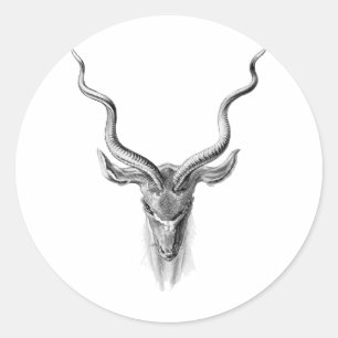 より素晴らしいKudu ラウンドシール