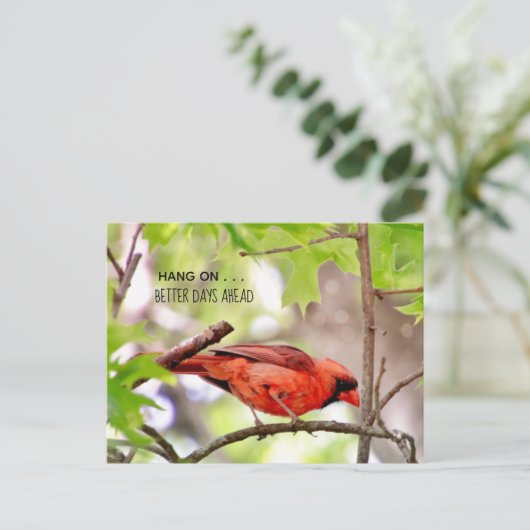 より良い日々が来る ポストカード (スタンド正面)