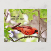 より良い日々が来る ポストカード (正面)