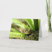 「より良い日を先に」考え込んだヒキガエル カード (正面)