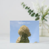 より良い早くライム紫陽花 ポストカード (スタンド正面)