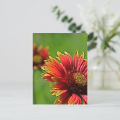 より親しげな表情 ポストカード (スタンド正面)