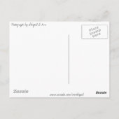 より親しげな表情 ポストカード (裏面)