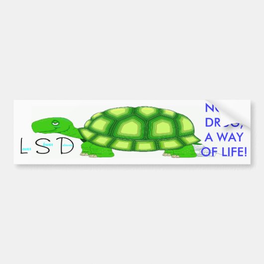 より遅いデラウェア州を下げて下さい バンパーステッカー (正面)