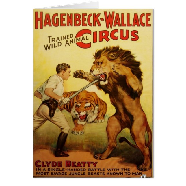 より飼いならされた野生動物 (正面)