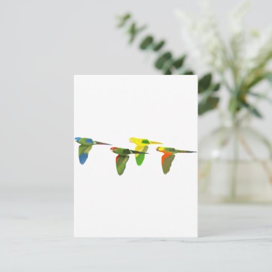 よろめき! ポストカード (スタンド正面)