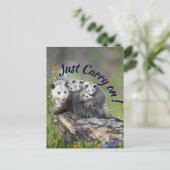 よ運く！ ポストカード (スタンド正面)