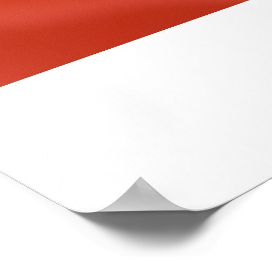 らせん星状 ポスター (角)