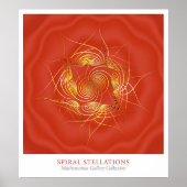 らせん星状 ポスター (正面)