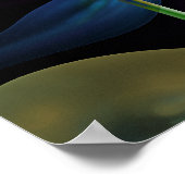 らせん芸術的状の背景を持つフローラポスター ポスター (角)