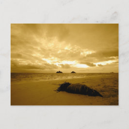 『らんいかの日の出はがき』 ポストカード