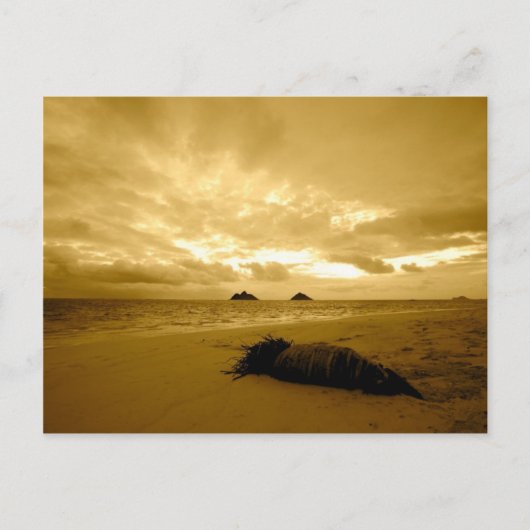 『らんいかの日の出はがき』 ポストカード (正面)