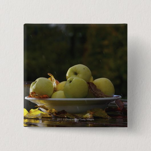 りんごおよび葉のボール 缶バッジ (正面)