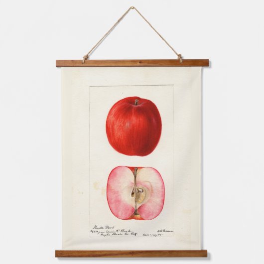 りんごの品種 シャスタ 水彩画 吊り下げ型タペストリー (正面)