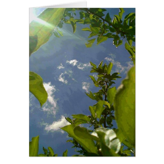 りんごの木からの眺め (正面)