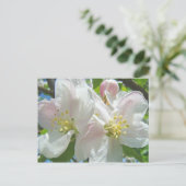 りんごの木の花+ポストカード+春の花 ポストカード (スタンド正面)