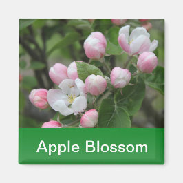 りんごの花と緑の葉 マグネット