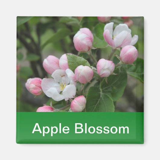 りんごの花と緑の葉 マグネット (正面)