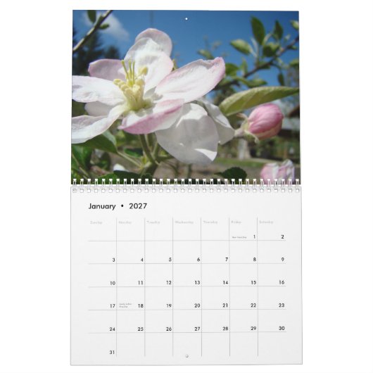 りんごの花のカレンダー 春の芸術カレンダー カレンダー (1月 2027)