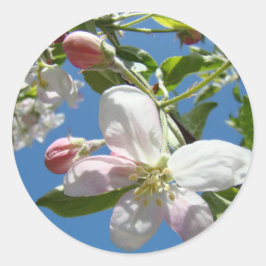 りんごの花 ステッカー シート ギフト