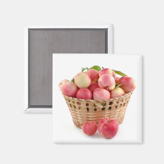 りんごバスケット，収穫，秋 マグネット (正面/裏面)