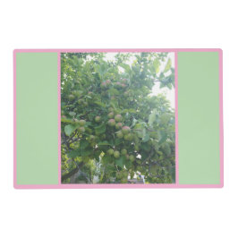 りんご大人気 ラミネート プレート