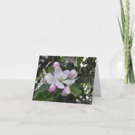 りんご花ありがとう カード