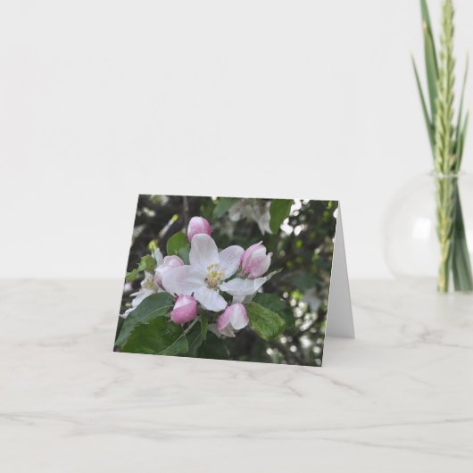 りんご花ありがとう カード (正面)