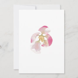 りんご開花 シーズンカード