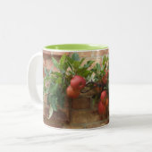 れんが壁のエスパリエにリンゴが生えているマグカップ ツートーンマグカップ (正面左)