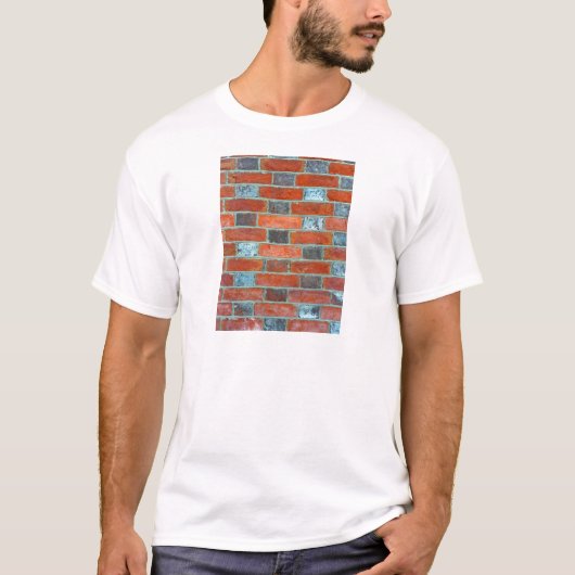 れんが細工 Tシャツ (正面)