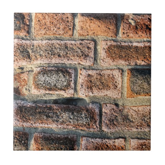 れんが タイル (正面)