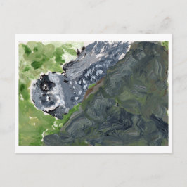 ろう及び紋付き岩はがき ポストカード