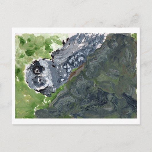 ろう及び紋付き岩はがき ポストカード (正面)