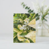 ろう葉プリベット葉書 ポストカード (スタンド正面)