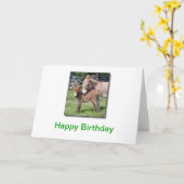 ろばおよびベビー カード (黄色い花)