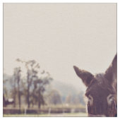 ろばの供給 ファブリック (クローズアップ)