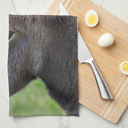 ろばの子馬 キッチンタオル (四つ折り)