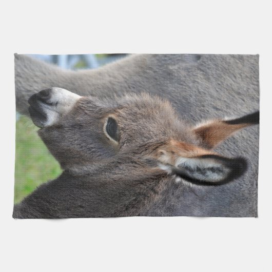 ろばの子馬 キッチンタオル (横)