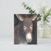 ろばの聖域の郵便はがき ポストカード (スタンド正面)