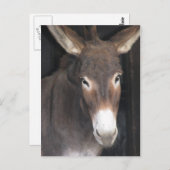 ろばの聖域の郵便はがき ポストカード (正面/裏面)